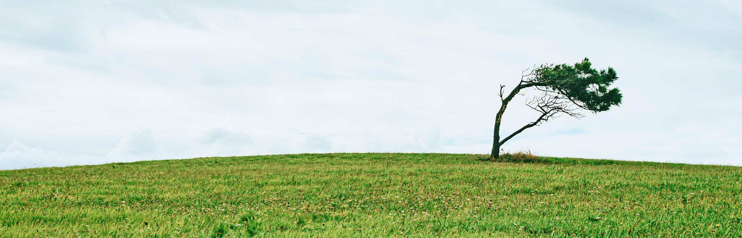 eco-hero-image-1-scaled-1